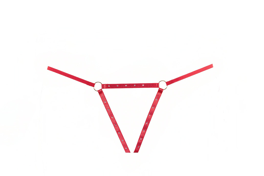 Ashley Garter &amp; Panty Set, front view
