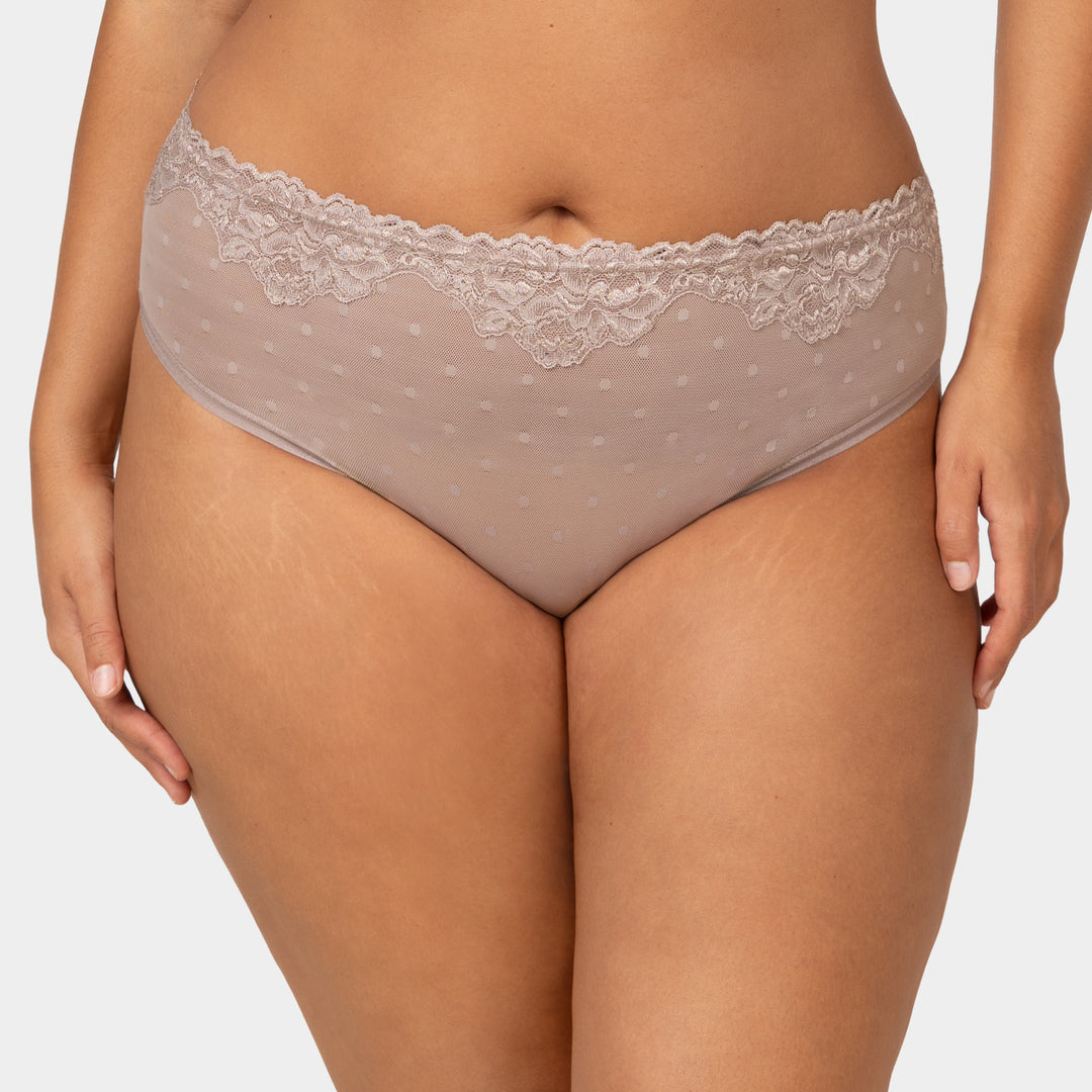 Sheer Whisper High Cut Brief | Love It Curvy