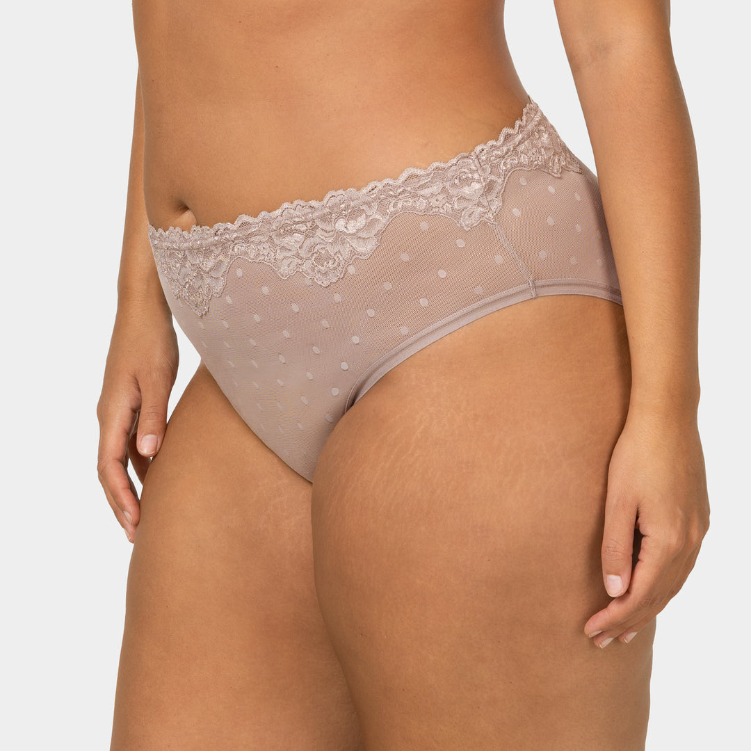 Sheer Whisper High Cut Brief | Love It Curvy