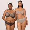 Sheer Whisper High Cut Brief | Love It Curvy
