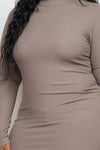 Plus Size Ribbed Mock Neck Long Sleeve Bodycon Mini Dress