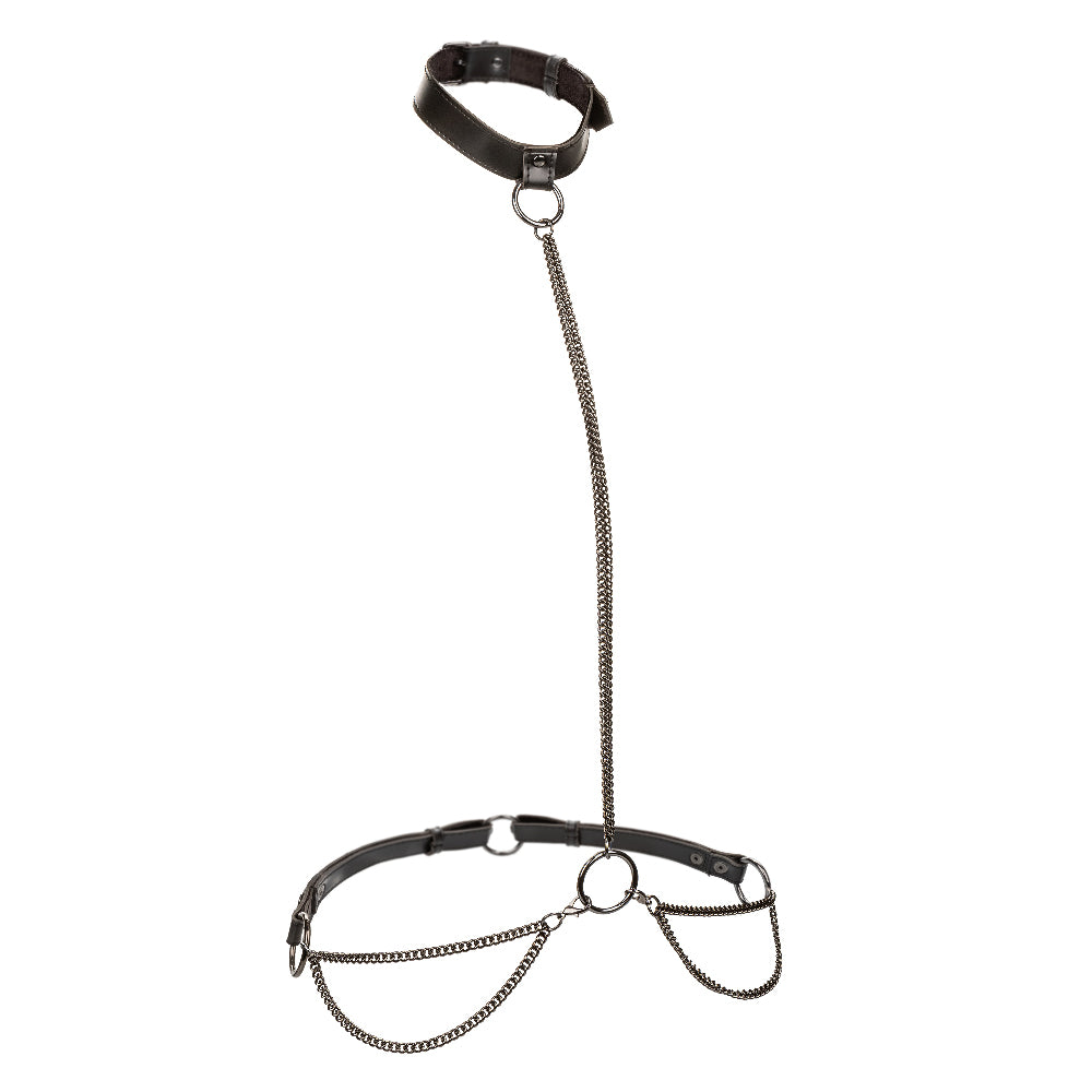 Euphoria Collection Chain Halter/collar and Leash - Black - Love it Curvy