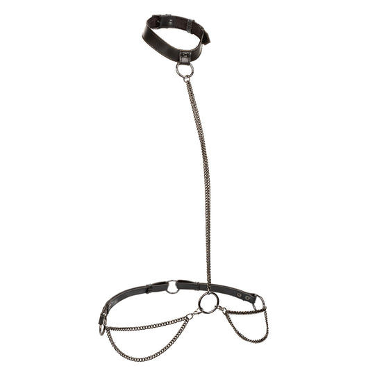 Euphoria Collection Chain Halter/collar and Leash - Black - Love it Curvy