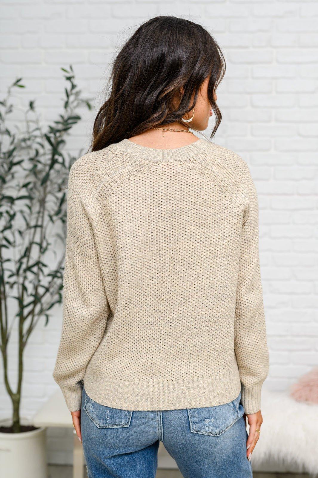 Chai Latte V-Neck Sweater in Oatmeal - AS4984-1 - Love it Curvy