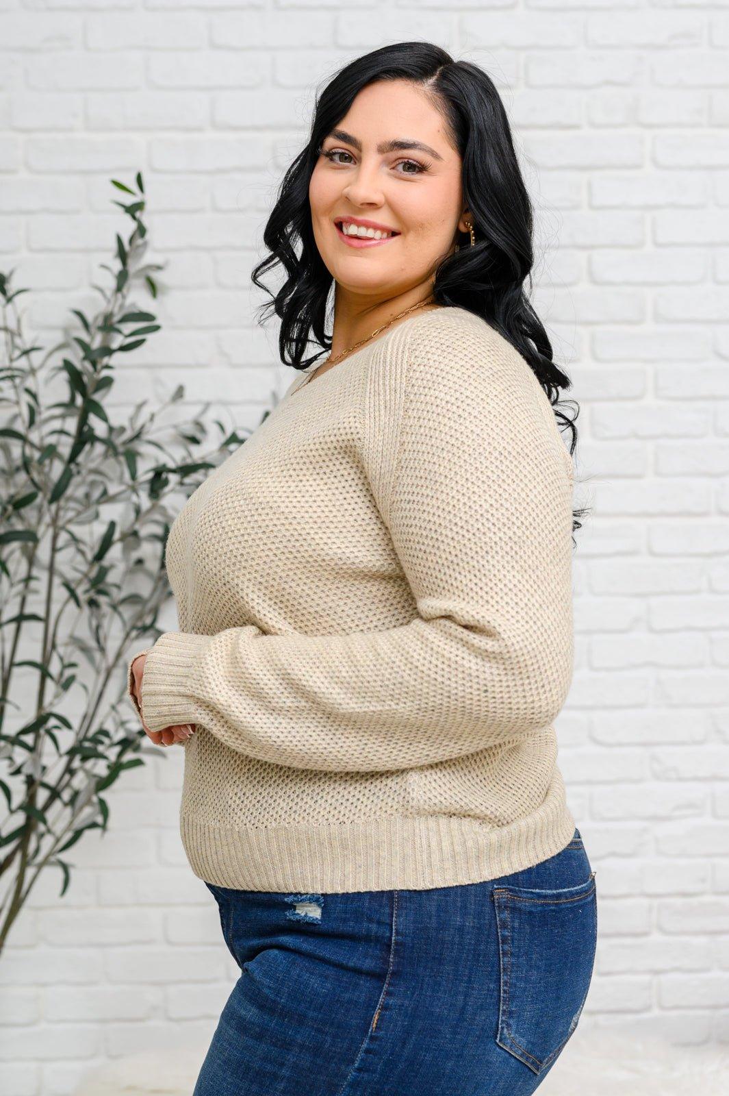 Chai Latte V-Neck Sweater in Oatmeal - AS4984-1 - Love it Curvy