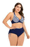 Love It Curvy Plus Size Printed High Waist Triangle Bikini Set