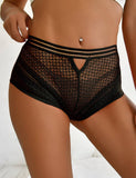 Love It Curvy: Classy Sheer Mesh High Waist Transparent Panty - P5154-1P1117 - Love it Curvy