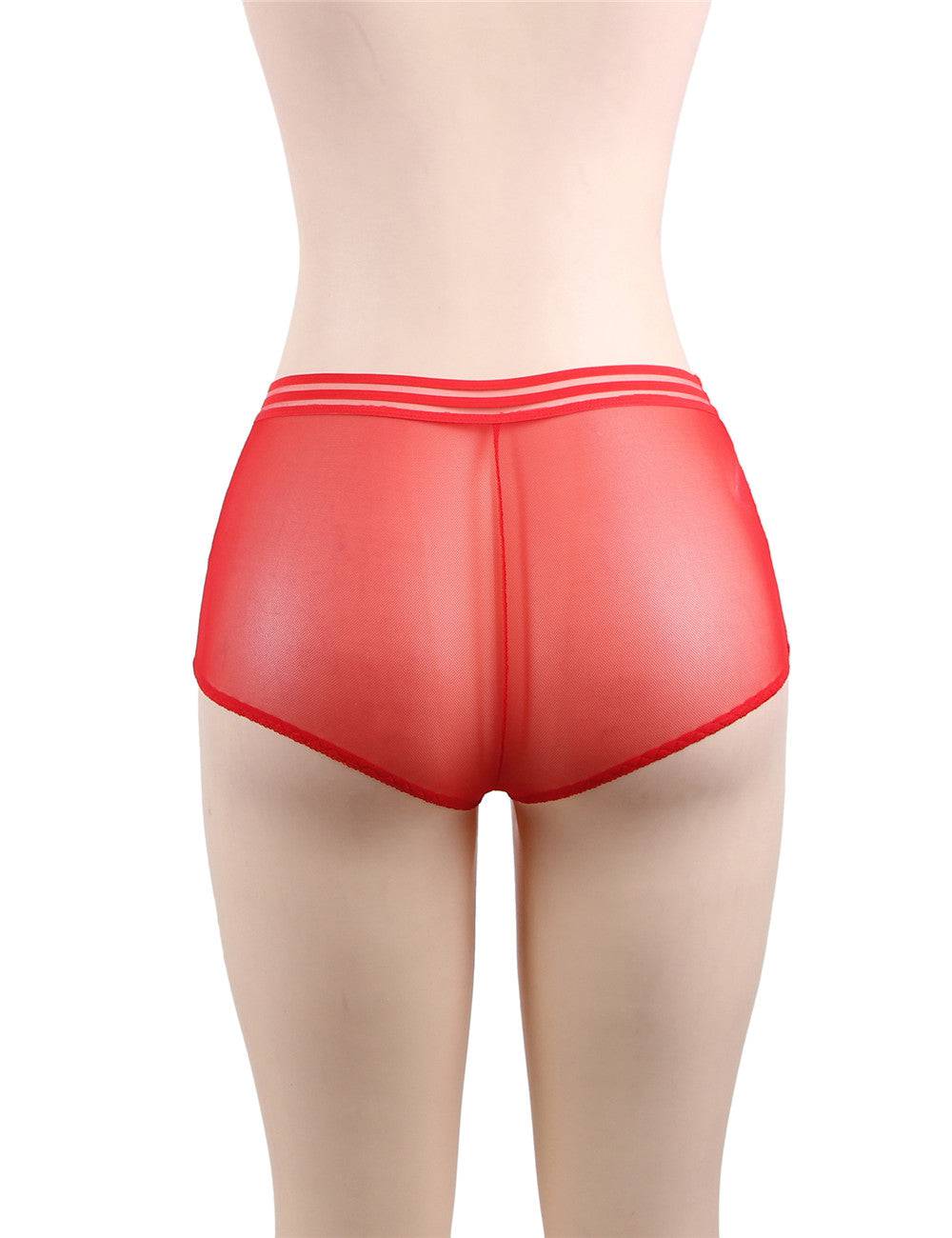 Love It Curvy: Classy Sheer Mesh High Waist Transparent Panty - P5154-3P1117 - Love it Curvy