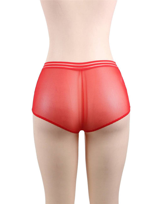 Love It Curvy: Classy Sheer Mesh High Waist Transparent Panty - Love it Curvy